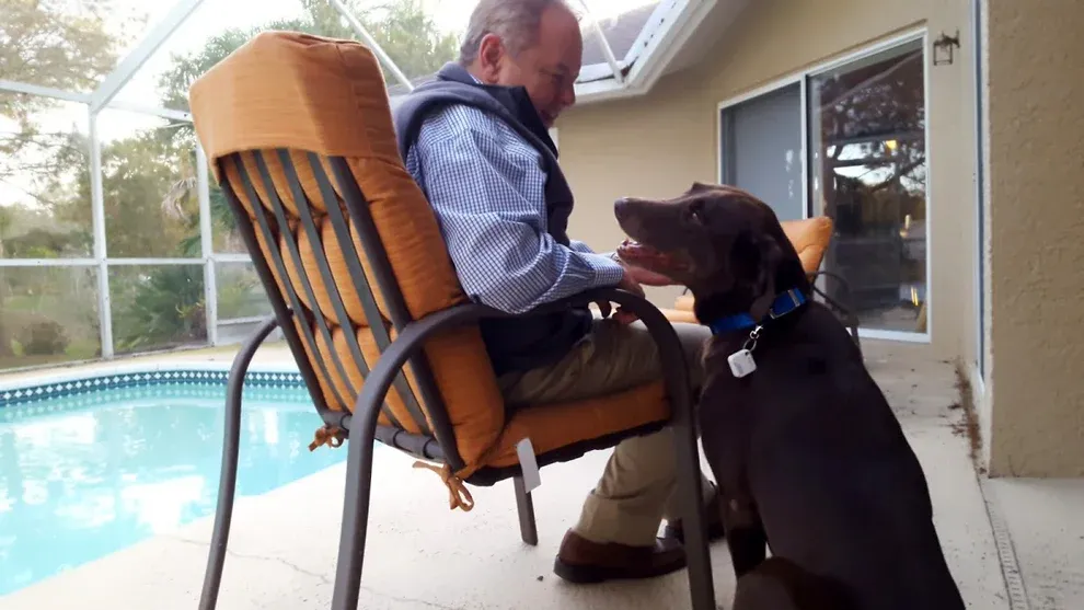 AutoSlide Elite iLock Smart Tag Pet Door System