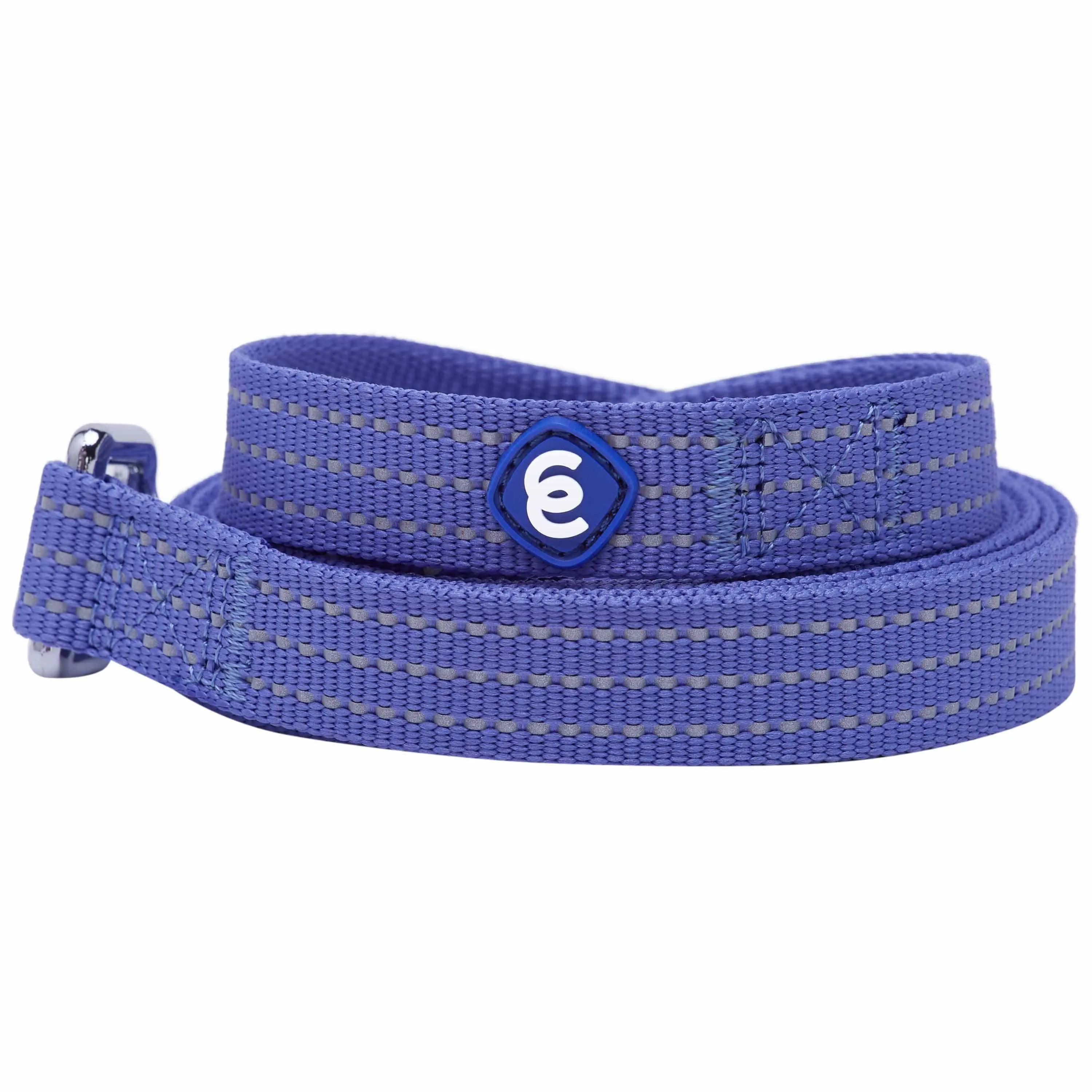 Better Basics Reflective Dog Leash