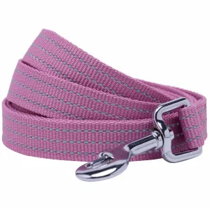 Better Basics Reflective Dog Leash