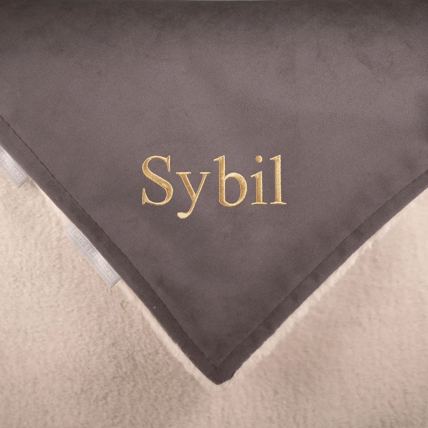 Dog & Puppy Blanket in Silt Velvet by Lords & Labradors