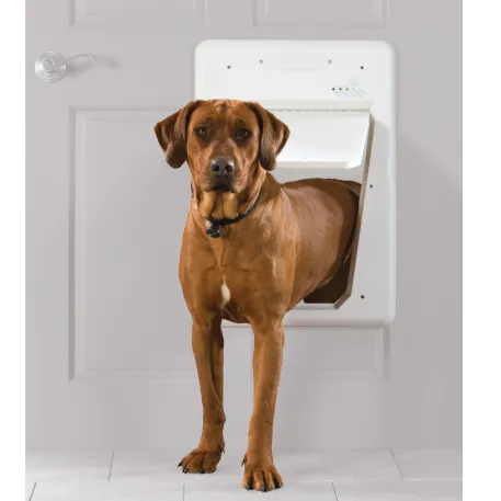 Electronic Pet Door (Large)