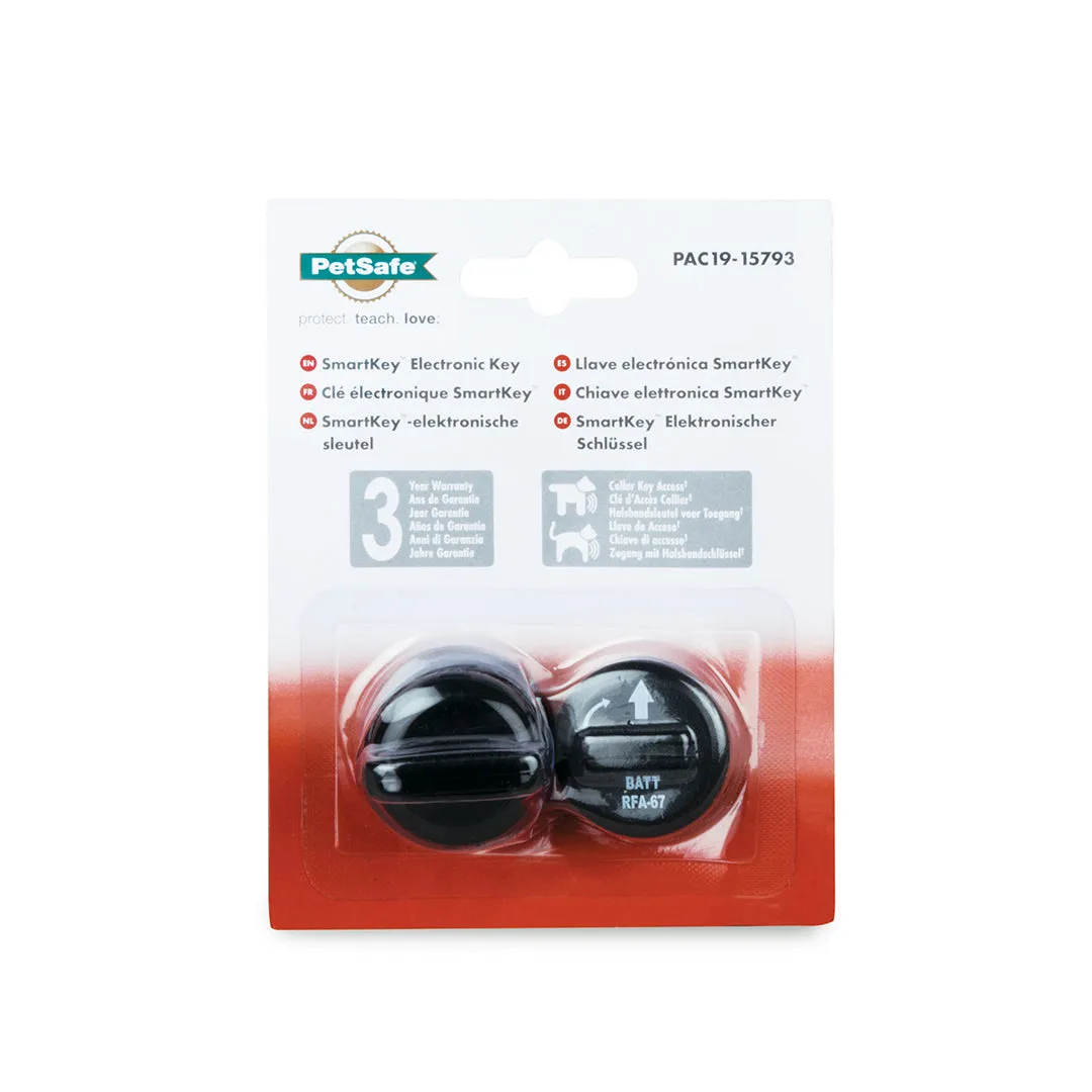 Electronic SmartKey Collar Key