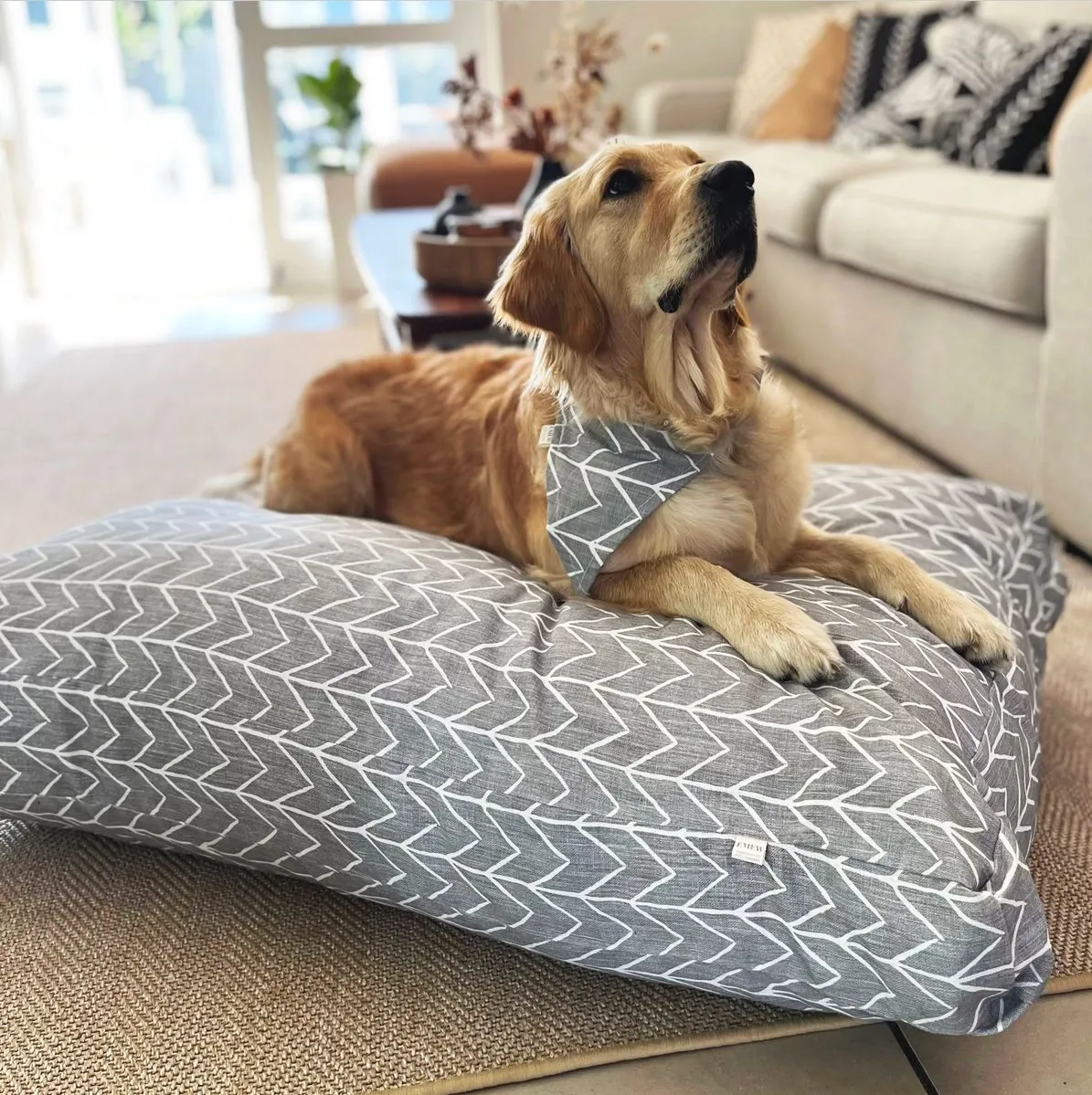 Emew Pet Beds