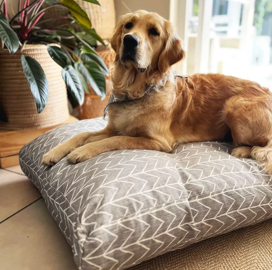 Emew Pet Beds