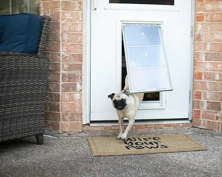 Endura Flap E2 Single Flap Pet Door for Thin Doors