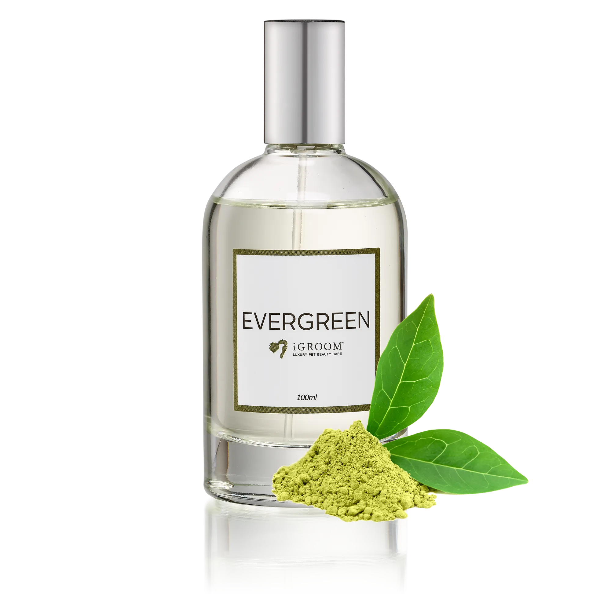 Evergreen Perfume 100ml by iGroom