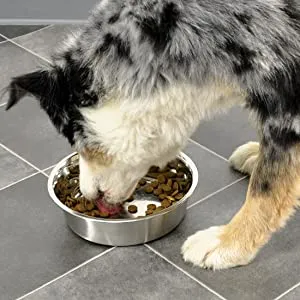 Human Grade Stainless Steel Dog Bowls  - Bergan - Up to 17 cups of Dry Food