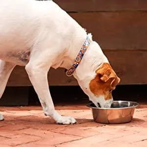 Human Grade Stainless Steel Dog Bowls  - Bergan - Up to 17 cups of Dry Food