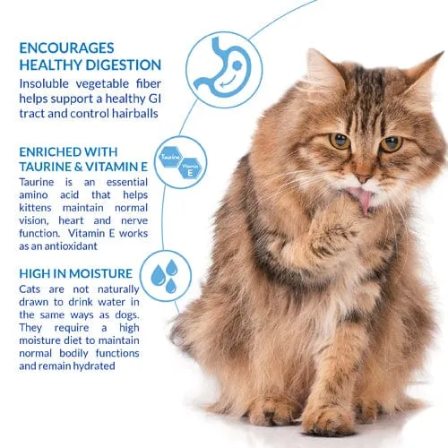 Inaba Churu Hairball Control Tuna Recipe Creamy Purée Cat Treat