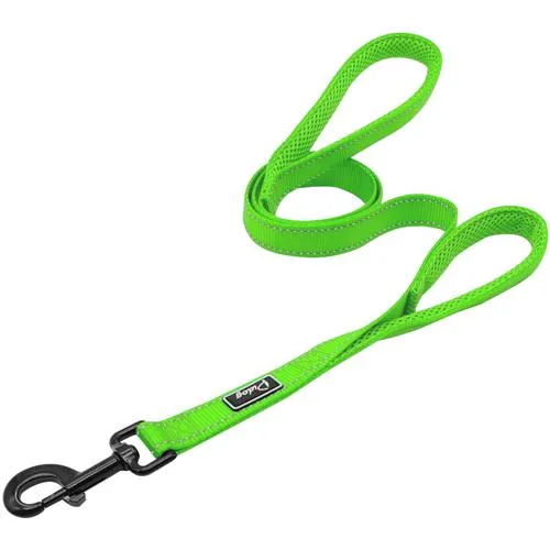 Leash Dog
