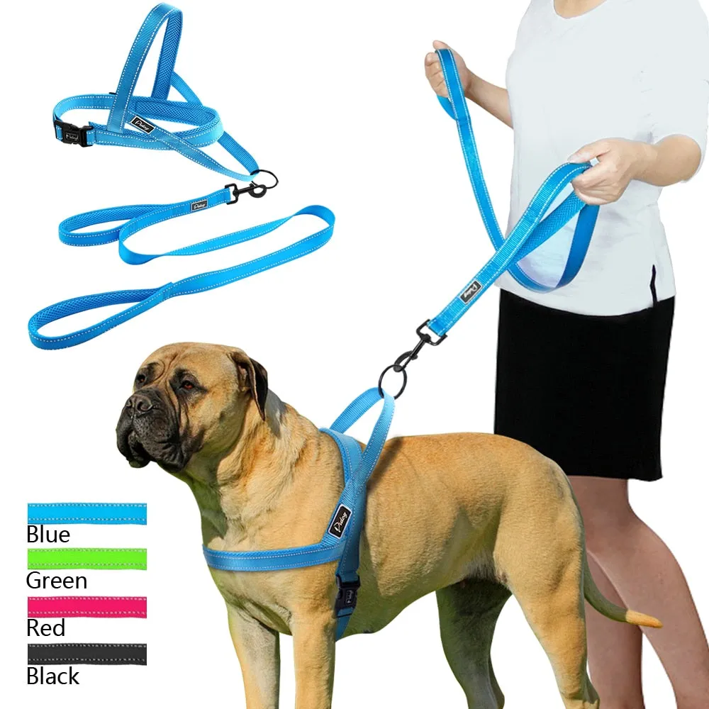 Leash Dog