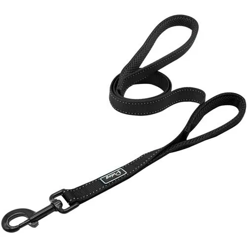 Leash Dog