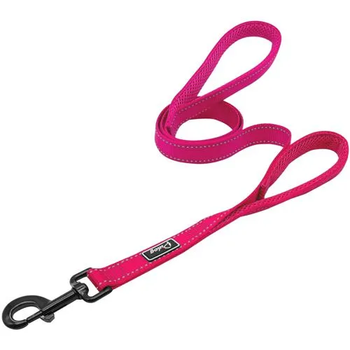 Leash Dog