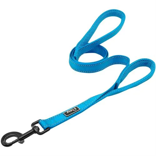 Leash Dog
