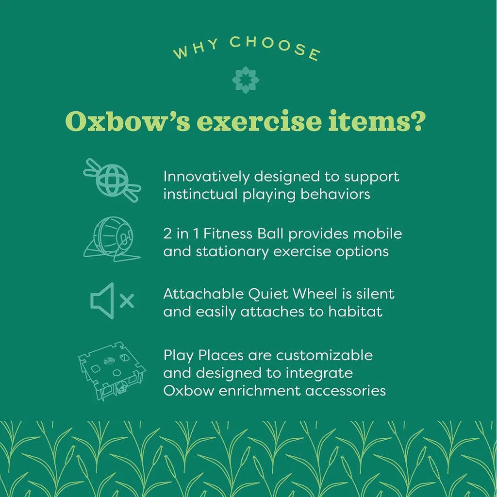 Oxbow Enriched Life Run Around Ball Toy For Small Animals