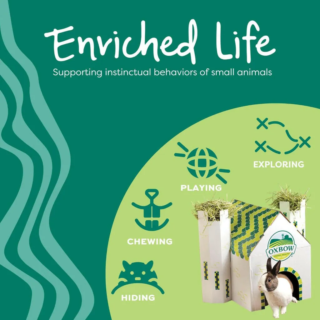 Oxbow Enriched Life Run Around Ball Toy For Small Animals