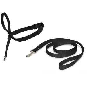 PetSafe Easy Walk Headcollar for Dogs