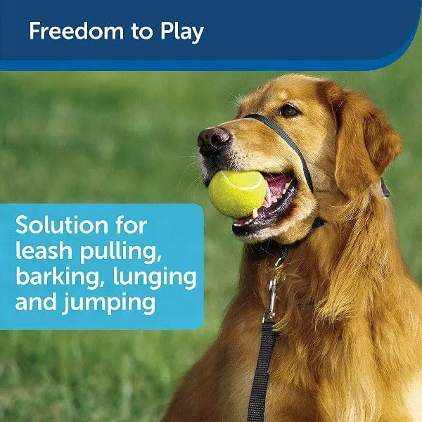 PetSafe Easy Walk Headcollar for Dogs