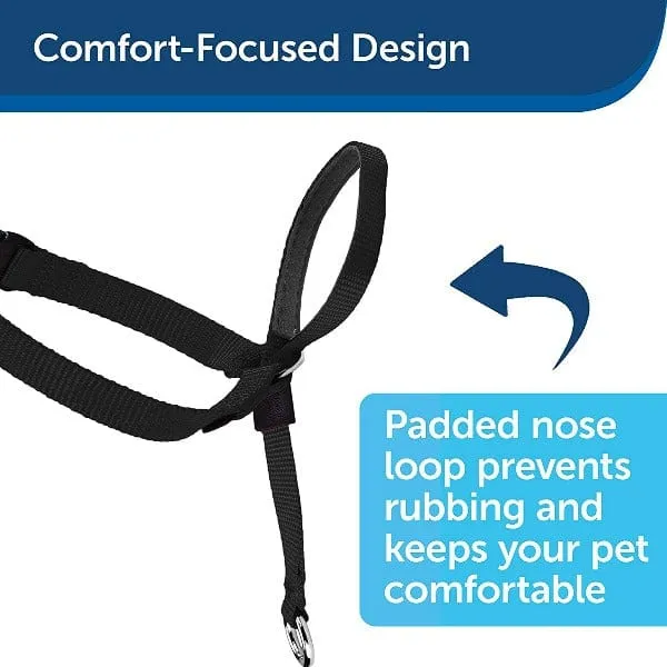 PetSafe Easy Walk Headcollar for Dogs