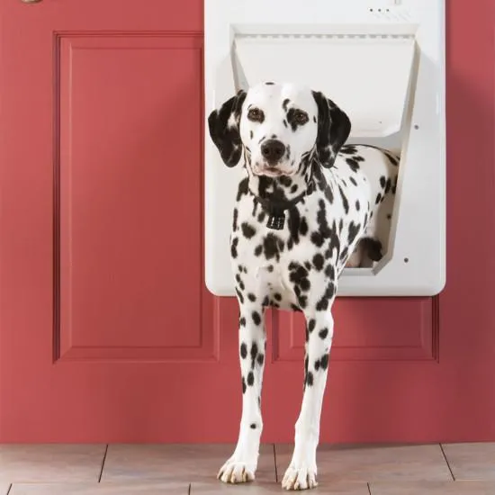 PetSafe Electronic SmartDoor