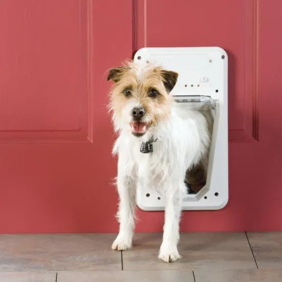 PetSafe Electronic SmartDoor