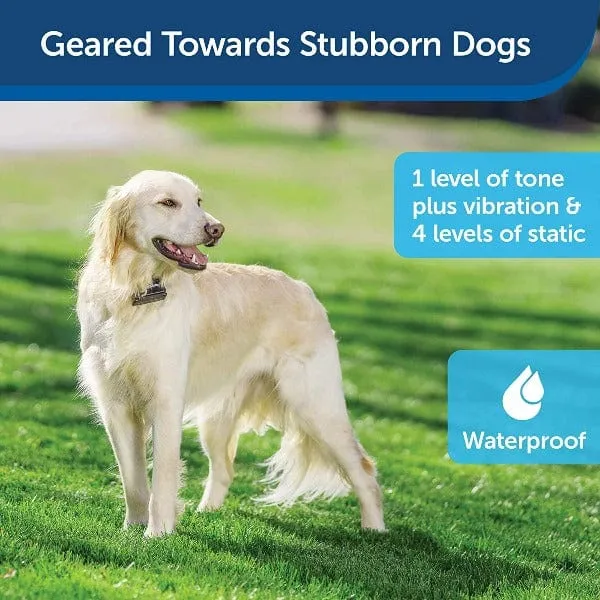 PetSafe Stubborn Dog Add-A-Dog Extra Receiver Collar