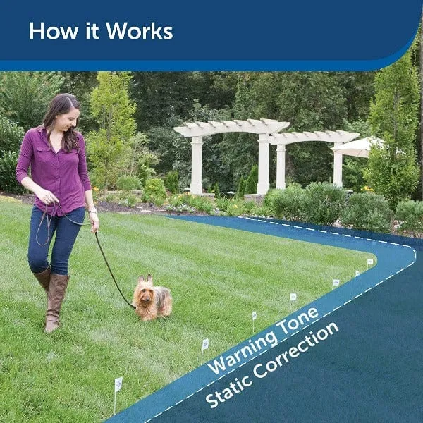 PetSafe Stubborn Dog Add-A-Dog Extra Receiver Collar