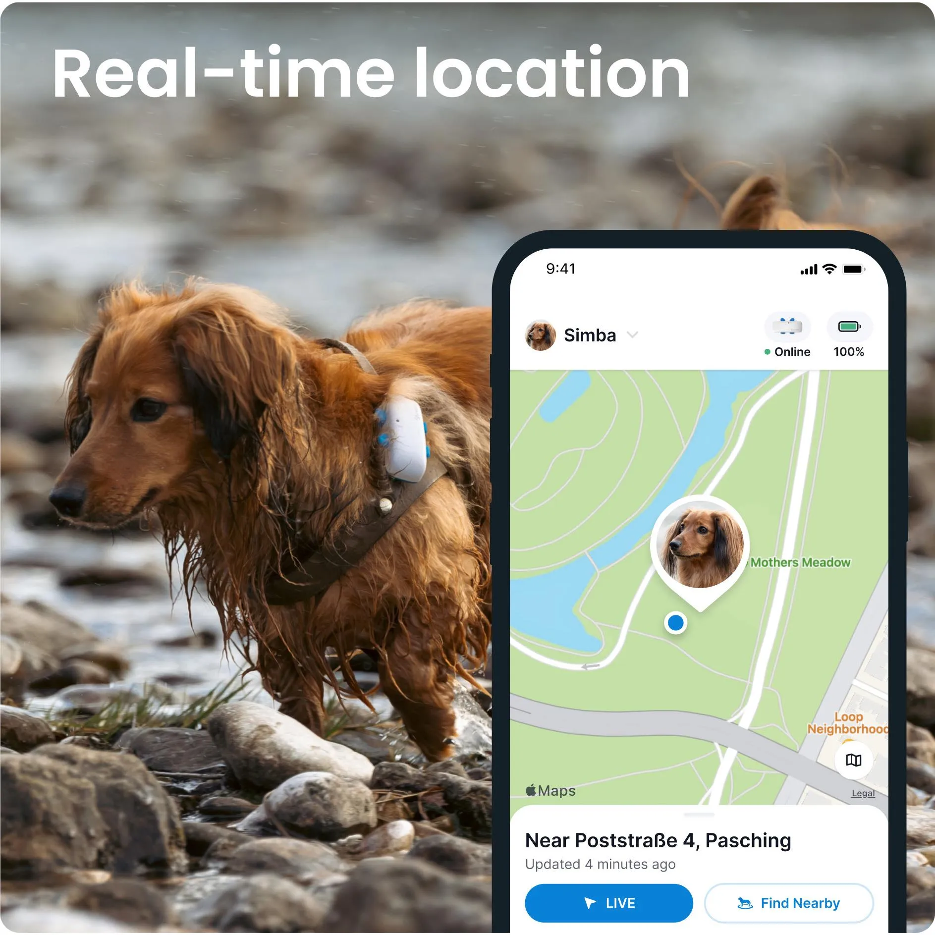 Tractive GPS DOG 4 Dog Tracker and Activity Monitor