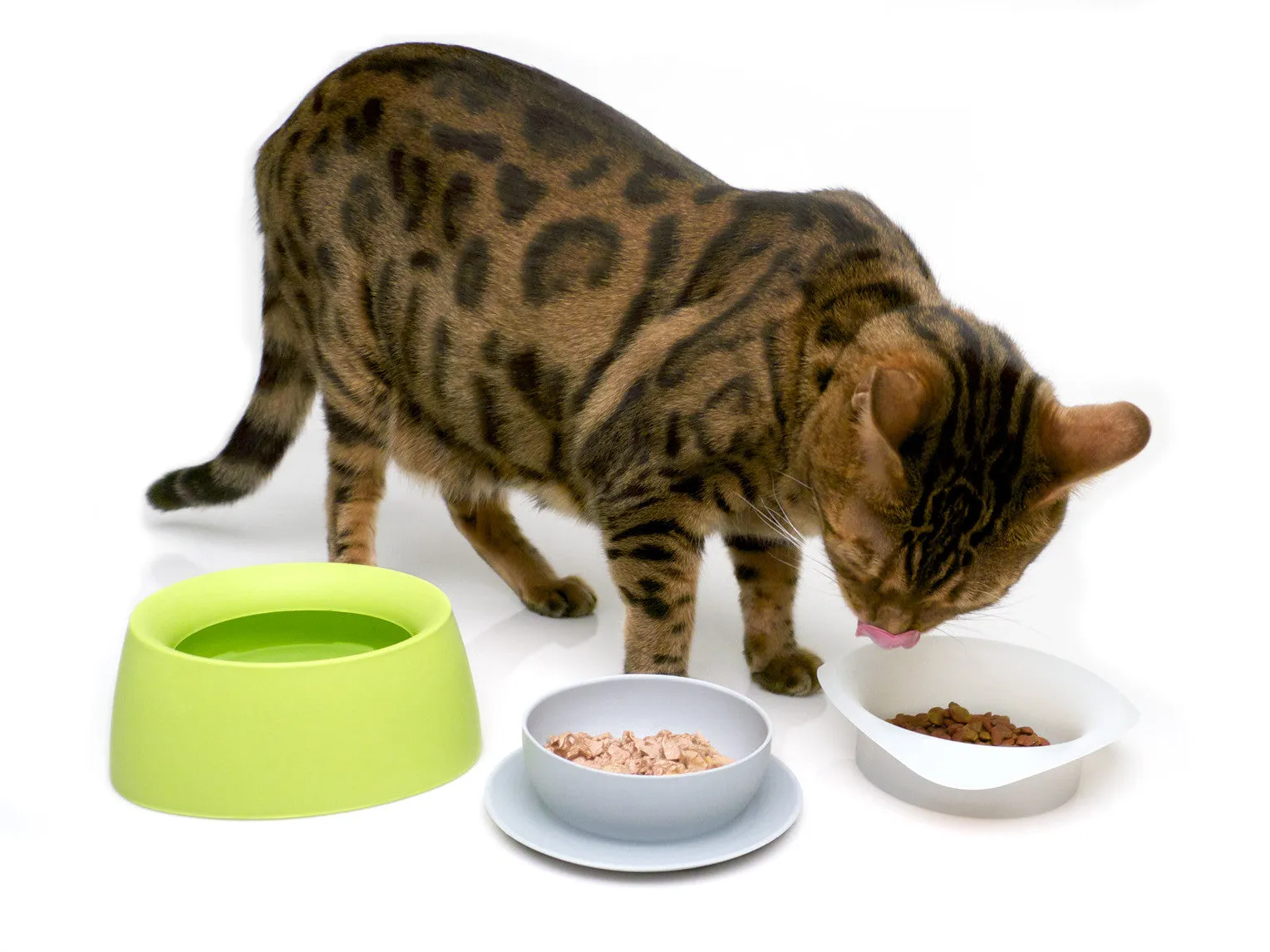 Yummy Travel Pet Bowl (Key Lime)